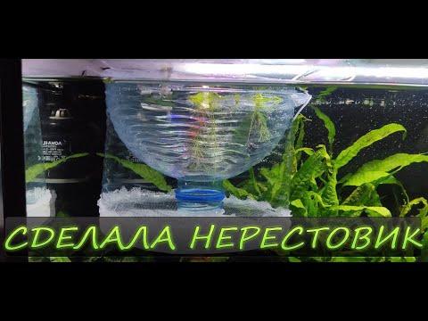 Видео: Сделала нерестовик. Не судите строго!