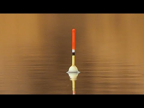 Видео: Сезон открыт! Первая рыбалка на поплавок в апреле!