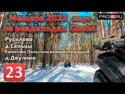 Видео: Мещера март 2022 на вездеходах Сокол