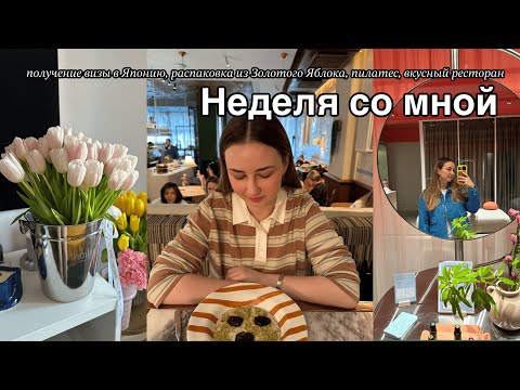 Видео: ВЛОГ | Как проходят мои будни, получила визу в Японию, распаковка Ozon, Золотое Яблоко