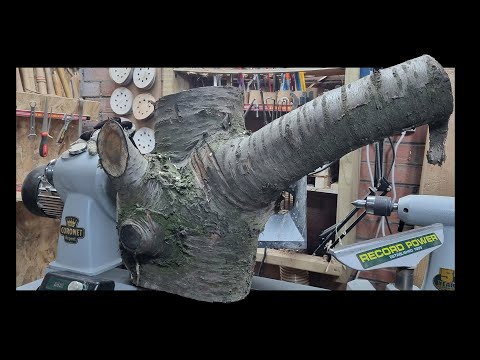 Видео: СЛОН в комнате - Проект Woodturning