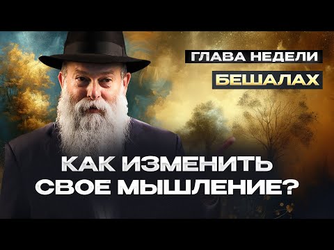 Видео: Как научиться радоваться всему? Глава недели Бешалах. Рав. Шмуэль Каминецкий