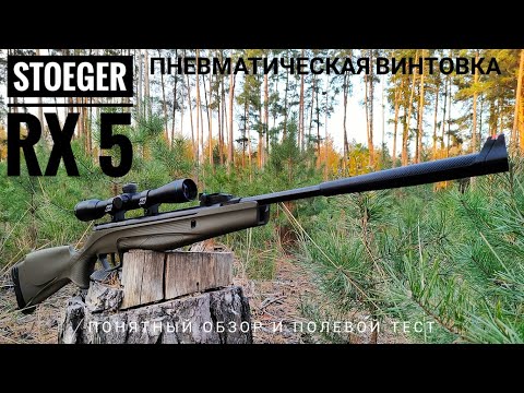 Видео: Stoeger RX5. Бюджетная пневматика. Честный обзор и полевой тест.