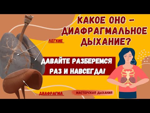 Видео: Хотите "наладить" дыхание, получить пользу от дыхательных практик  - разберитесь с диафрагмой