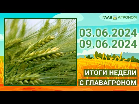 Видео: Итоги недели с ГлавАгроном. 03.06.2024 - 09.06.