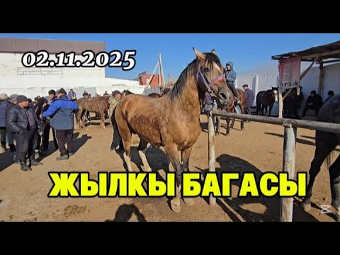 Видео: ЖЫЛҚЫ БАЗАР. ТАРАЗ МАЛ БАЗАР