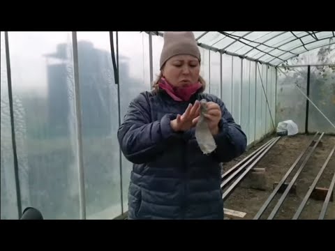 Видео: Влог :Купили Дом на Юге /Жизнь в Селе /Новый фронт Работы/Какие новости