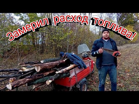 Видео: ЕДУ ЗА ДРОВАМИ 