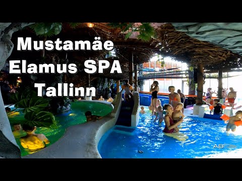 Видео: Поход в Mustamäe Elamus SPA, Tallinn.