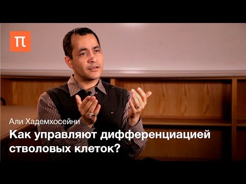 Видео: Биоинженерия стволовых клеток - Али Хадемхосейни