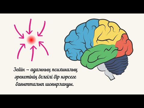 Видео: Зейінді дамыту. Логика. Логикалық ойлауды дамыту