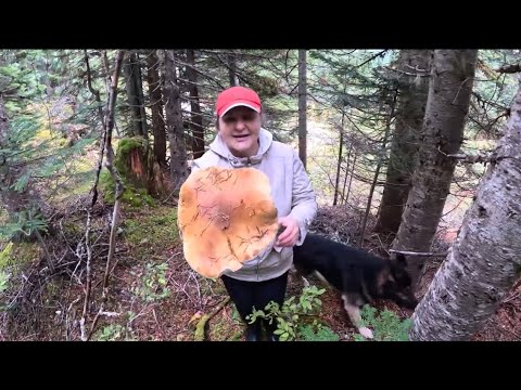 Видео: А вы видели такое? 23 октября 2025