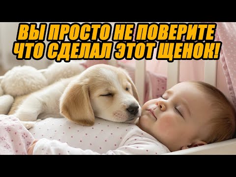 Видео: Он просто лёг рядом с парализованным малышом… А потом произошло чудо! ✨❤️