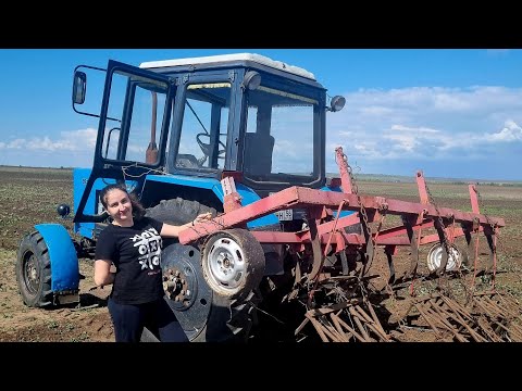 Видео: СЕЛЬХОЗНОВОСТИ: Неглубокая культивация. 1 серия.