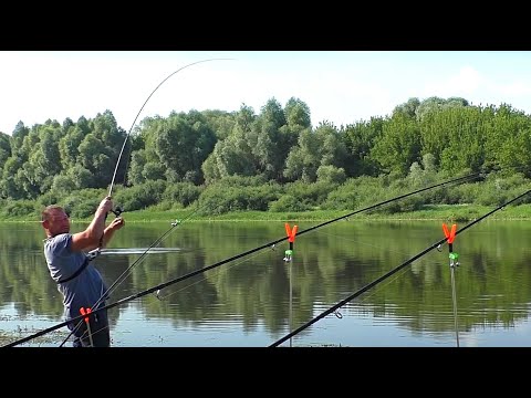 Видео: Ловим ЛЕЩА, СУДАКА, ЖЕРЕХА! КОПТИМ рыбу на рыбалке! Рыбалка на донки и отводной поводок!
