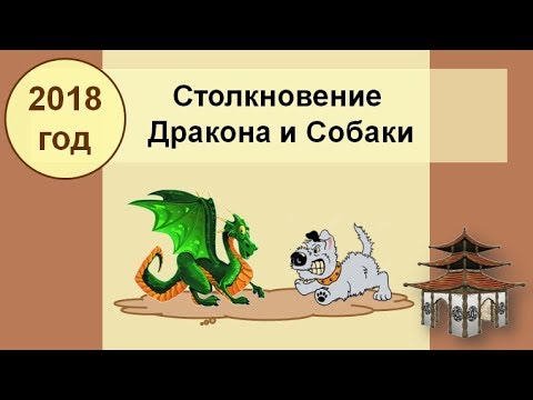 Видео: Столкновение Собаки и Дракона в 2018 году