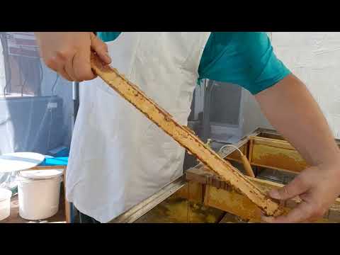 Видео: Роспечатка рамок ніж Гуслія 40вт,12в.