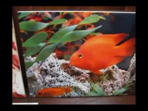 Видео: Цифровая деколь, технология изготовления