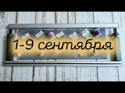 Видео: 14/2025, 1-9 сентября, Новый старт и продвижения