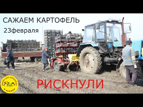 Видео: Сажаем ранний картофель в феврале.