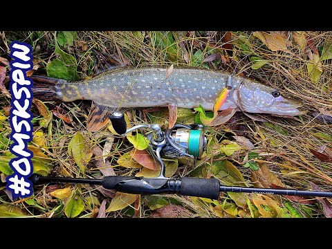 Видео: OmskSpin #107. Рыбалка на р. Омь 2023. Рыбалка в переменчивую погоду. #рыбалка #fishing #pike #щука