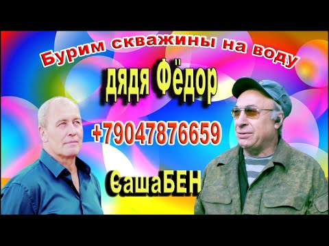Видео: Абиссинка в подвале.