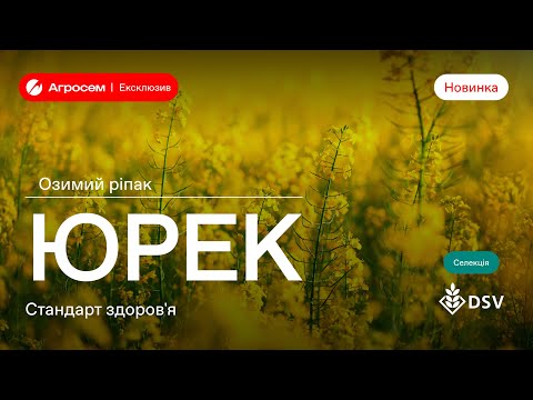 Видео: Огляд озимого ріпаку DSV – ЮРЕК