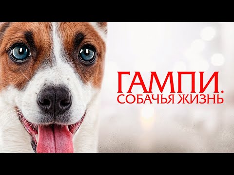 Видео: ГАМПИ. СОБАЧЬЯ ЖИЗНЬ (2024)