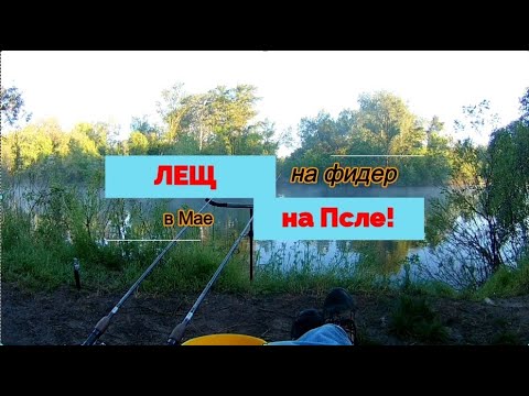 Видео: Лещ на Фидер! В Мае на Псле...
