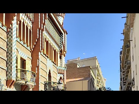 Видео: Лариса Никитина в прямом эфире!