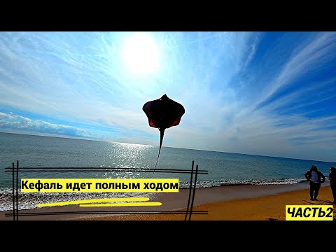 Видео: Кефаль полным ходом, клюнул не жданный гость