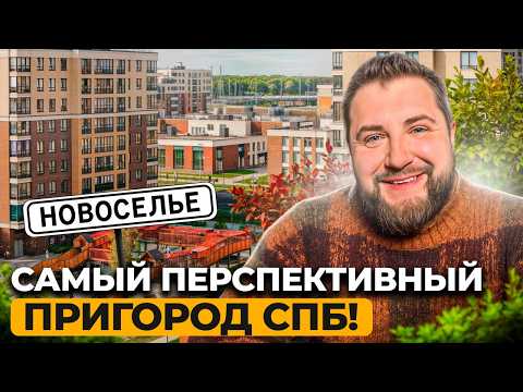 Видео: ДЕШЕВЛЕ в 2 раза, чем в Питере! Что СКРЫВАЮТ застройщики Новоселья?