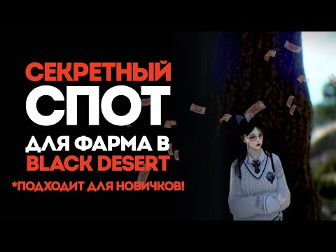 Видео: СЕКРЕТНЫЙ СПОТ ДЛЯ ФАРМА В BLACK DESERT ONLINE! ЭФФЕКТИВНЫЙ ФАРМ ДЛЯ НОВИЧКА И ОПЫТНОГО ИГРОКА!