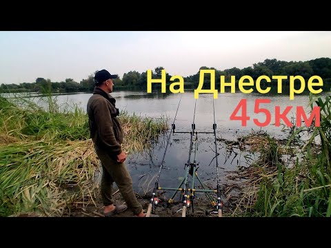 Видео: Рыбалка на Днестре уборка мусора к , Неуважение Природе?  45км 2022 #рыбалка #днестр #отдых