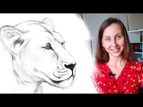 Видео: Как нарисовать льва карандашом поэтапно для начинающих. Часть1