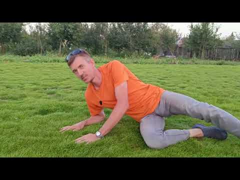 Видео: Масштабный Газон из Мшанки 2