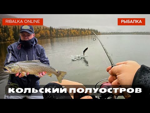 Видео: Рыбалка мечты. Кольский. Кумжа, Хариус