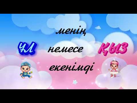 Видео: Гендер пати Жанара. Тапсырыс беру үшін ватсап 87770498093