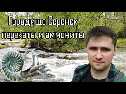 Видео: Водопад и перекаты реки Серёна. Аммонитное место. Живописные места Калужской области.