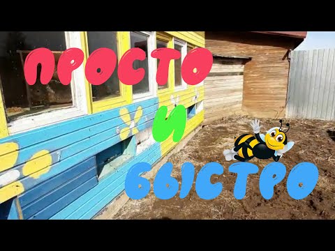 Видео: Убираем роение за 2 минуты  2 я часть