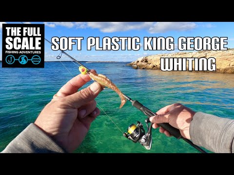 Видео: Мягкий пластиковый король Джордж Уайтинг | Полный масштаб