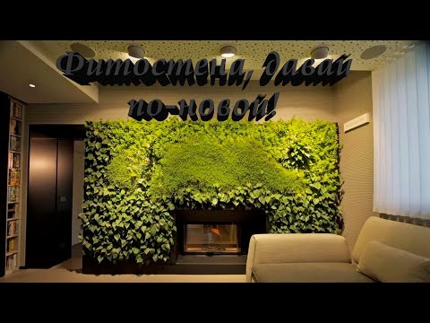 Видео: Фитостена, запускаем по-новой!