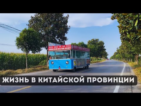 Видео: ОСЕНЬ в КИТАЙСКОЙ ДЕРЕВНЕ 2024 как тут живут?!