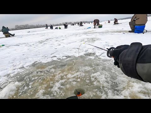Видео: ПОД НАМИ ТОННЫ РЫБЫ, СОТНИ РЫБАКОВ ТУТ ЖДУТ ЕЁ. Рыбалка на ЧЕРТА зимой в 2025