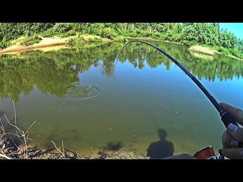 Видео: Да сколько здесь РЫБЫ под этой КОРЯГОЙ?! Огромные приманки нравятся щуке