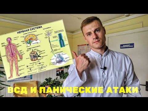 Видео: ВСД и Панические атаки. Врач пояснит!