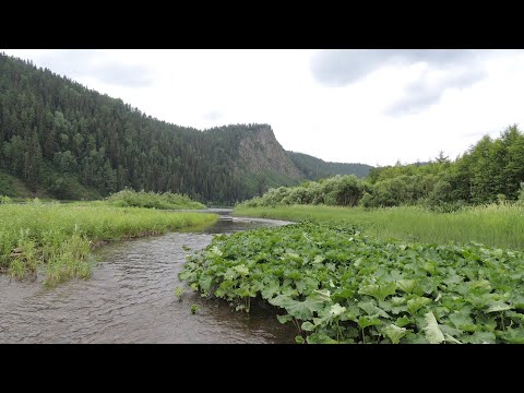Видео: Рыбалка. Мана, Улдат, Кершул. (Июль 2024)