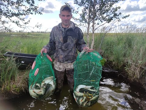 Видео: ЭТО ОЗЕРО ВСЕГДА РАЗДАЕТ.РЫБА ВСЯ У БЕРЕГА СТОИТ ПОД ПЛАВУНАМИ.
