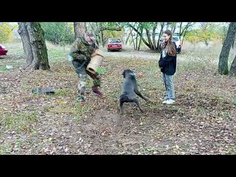 Видео: 26 октября 2025 г.