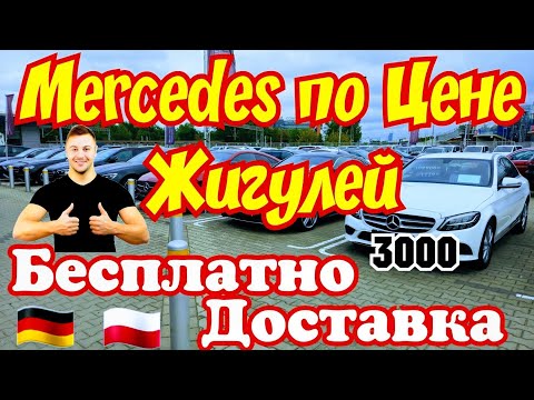 Видео: Mercedes по Цене Жигулей !!! Бесплатная ДОСТАВКА !!! 🚘💲🇩🇪